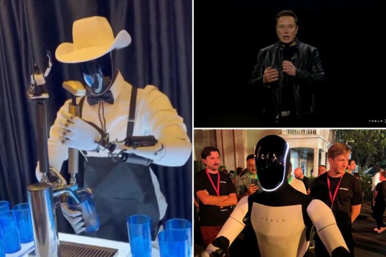 Here's where Elon Musk walks, talking Optimus robots could come to your home, experts say

