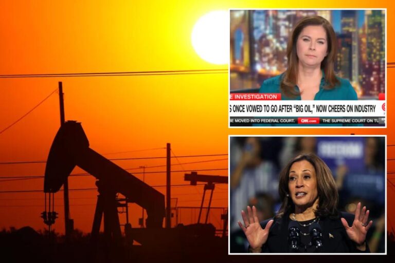 CNN's Erin Burnett says Kamala Harris has taken a 'very sharp turn' in her stance on Big Oil

