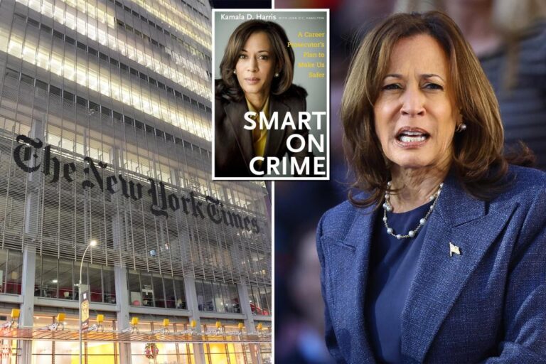 NYT plagiarism consultant admits Kamala Harris scandal 'more serious' than she thought

